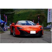 ASAMA2014D1 (10).jpg